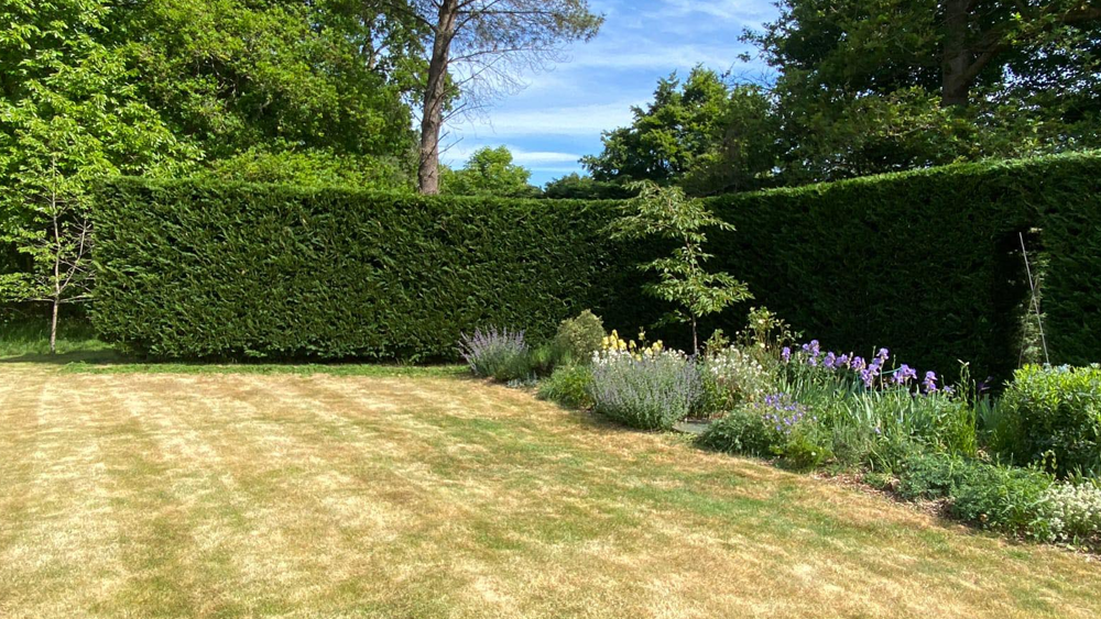 Hedge Cutting Surrey Hampshire West Sussex