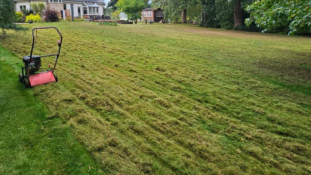 Turfing and Lawncare Surrey Hampshire West Sussex